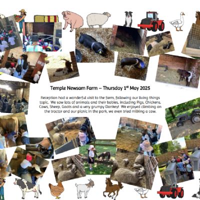 EYFS Visit Temple Newsam - May 2025